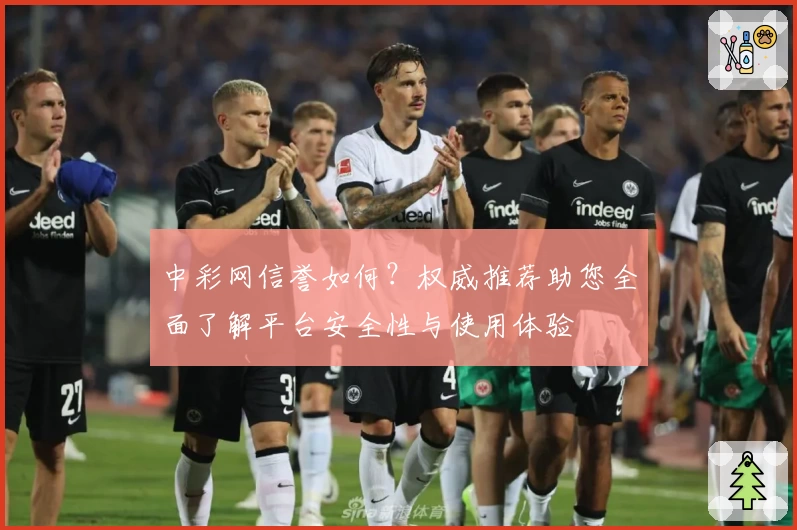 中彩网信誉如何？权威推荐助您全面了解平台安全性与使用体验