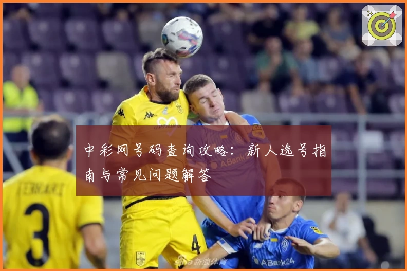 中彩网号码查询攻略：新人选号指南与常见问题解答