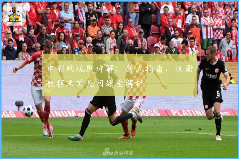 中彩网规则详解：新人指南、注册教程及常见问题全解析
