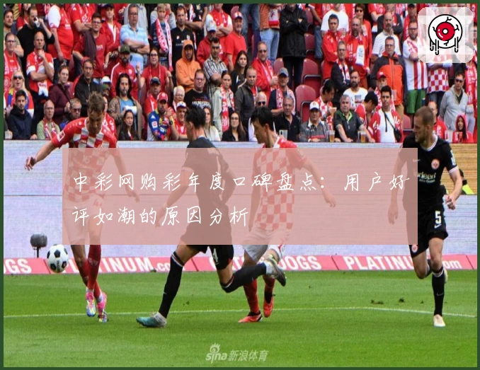 中彩网购彩年度口碑盘点：用户好评如潮的原因分析