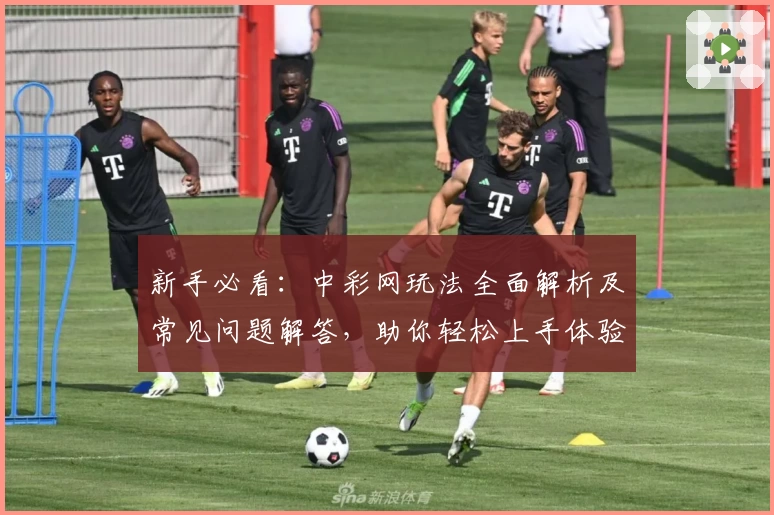 新手必看：中彩网玩法全面解析及常见问题解答，助你轻松上手体验