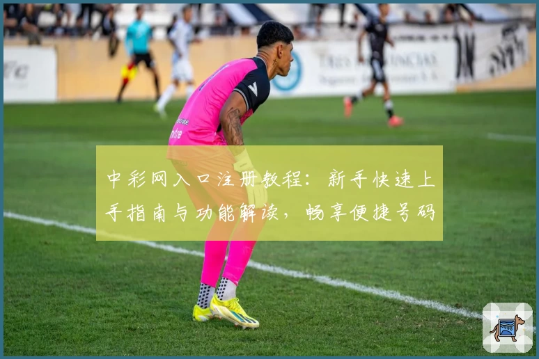 中彩网入口注册教程：新手快速上手指南与功能解读，畅享便捷号码查询体验