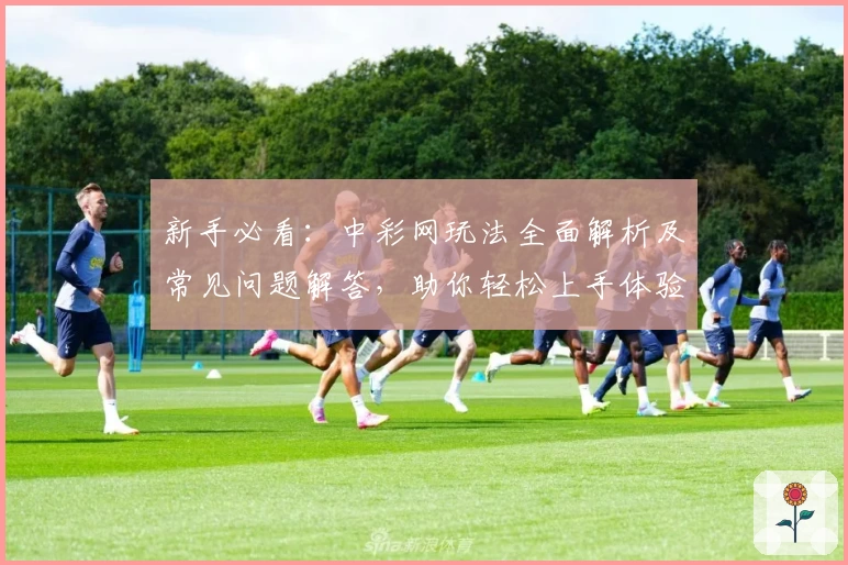 新手必看：中彩网玩法全面解析及常见问题解答，助你轻松上手体验