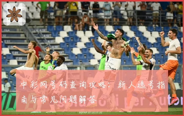 中彩网号码查询攻略：新人选号指南与常见问题解答