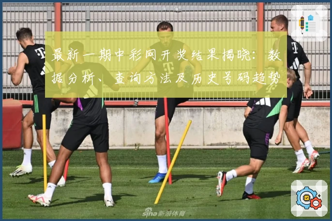 最新一期中彩网开奖结果揭晓：数据分析、查询方法及历史号码趋势详解