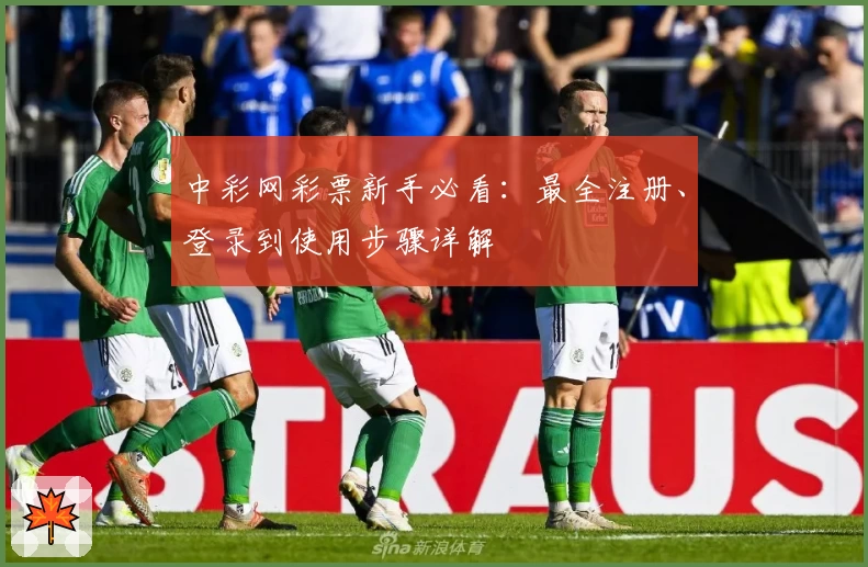 中彩网彩票新手必看：最全注册、登录到使用步骤详解